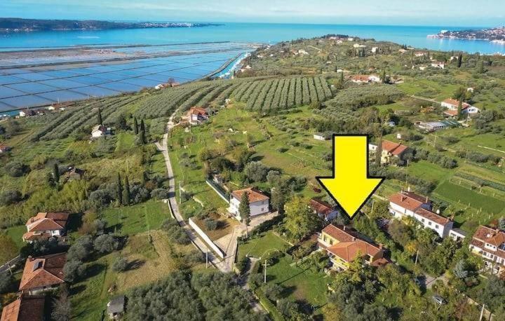 Apartamento Vista Del Sal Portoroz Exterior foto